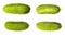 Four cucumbers on a white background
