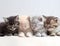 Four cute kittens cuddling together on a bright white surface. AI-generated.