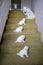 Four cute little Japanese spitz puppies on the stairs. white fluffy dogs.