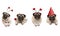 Four cute Valentine love pug puppy dogs, with hearts, hanging on white banner