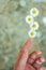 Four daisies levitate on their fingers. summer background with flowers