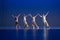 Four dancers pose against dark blue background on stage