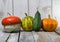 Four decorative pumpkin on wood background