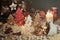 Four decorative wooden Christmas trees with carved letters xmas and christmas sweets. T