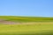 Four deers on green field and cloudy blue sky