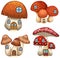 Four designs of mushroom houses