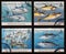 Four different species of tuna on a series of stamps