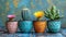 Four diverse cacti in studded pots against a textured blue backdrop.