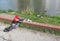 Four duck in river water with debris.