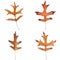 Four fall leaves