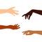 Four female hands of different skin color on a white background