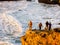 Four fishermen on the cliff