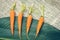 Four fresh aligned carrots placed on a big green