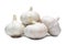 four fresh white garlic bulbs in stack isolated on white background with clipping path, Thai herb is great for healing several