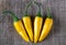 Four fruits of yellow fresh chilli pepper on the background of t