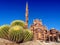 Four giant spherical spiky cactus on the background of blurred El Sahaba Mosque in Sharm El Sheikh Egypt, close-up. Beautiful