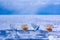 Four glasses made of ice stand on a piece of transparent ice against a snowy plain and blue sky.