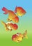 Four goldfish