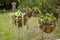 Four Hanging Flower Basket Arrangement in Garden Setting