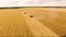 Four harvesters collect grain in a large field. Harvest