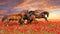 Four horse in poppy flowers