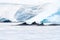 Four Humpback whales in Antarctica2