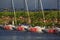 Four J/70 yachts moored in the wake against the backdrop of the shore on a sunny summer evening