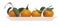 Four juicy small oranges, tangerines, with leaves on white plate isolated on white. Modern, minimalist fresh fruit.