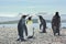 Four king pinguins near sea