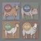 Four labels with color hand drawn farm animals sketches.