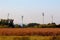 Four large tall stadium reflector lights rising high above stadium and trees behind dry grass and cornfield at sunset