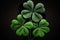 Four leaf clover on black background