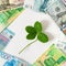 Four leaf clover among euro, dollar and ruble banknotes on white background. Wealth, success, business, lucky investment, win,