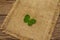 Four-leaf clover, fresh plant on sackcloth. Good luck symbol, St.Patrick`s Day concept