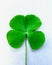 Four leaf clover of love hope faith and luck