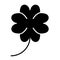 Four leaf clover solid icon. St Patrick`s day symbol vector illustration isolated on white. Shamrock glyph style design