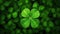 Four Leaf Clover Stands Out Against Green Leaves Banner