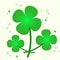 four leaf clovers, clover leaves st patricks day