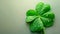 Four leaf clovers on white background, Realistic natural leaves natural background, little green trefoil, symbol of