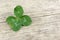 Four-leaf lucky shamrock, clover on old retro vintage wooden background with copy space