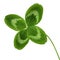 Four leaved clover luck symbol sign