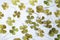 Four leaves clovers various sizes on white wooden background with defocuse, retro modern Saint Patricks Day background