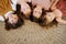 Four little girls about the same age lying on the floor head to head