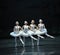 Four little swan-The Swan Lakeside-ballet Swan Lake