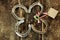 Four lucky horseshoes with a shamrock