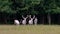 Four majestic white deers in the game reserve, forest in the bacgroung