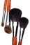 Four makeup brushes on white background