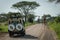 Four Masai giraffe before jeep on road