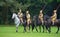 Four members of the Punjab Lancers in World War One uniform riding horses.