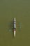 Four men rowing on Danube river